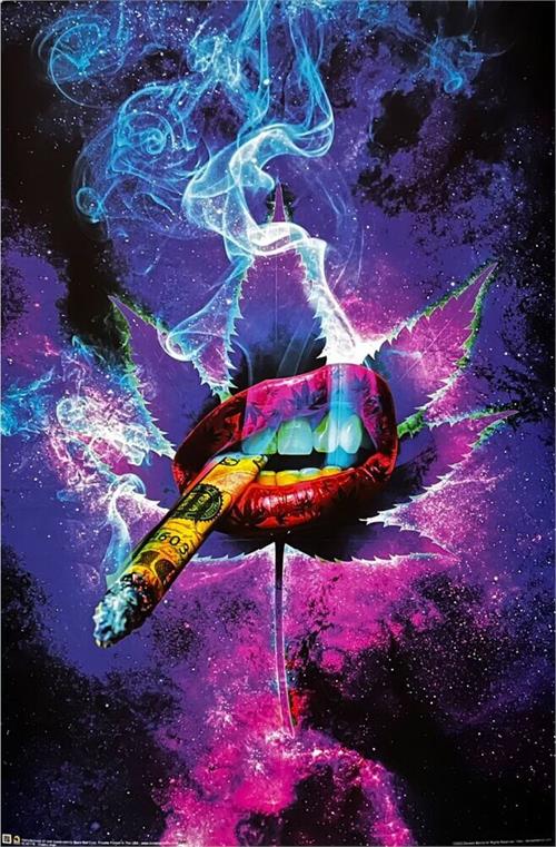 SMOKE SHOP BLK-95 (24×36)