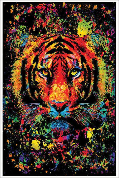 BLACKLIGHT BLK-30 (24×36)