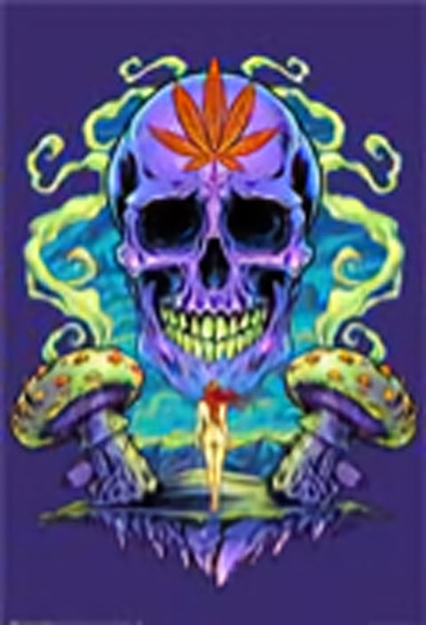 FANTASY BLK-14 (24×36)