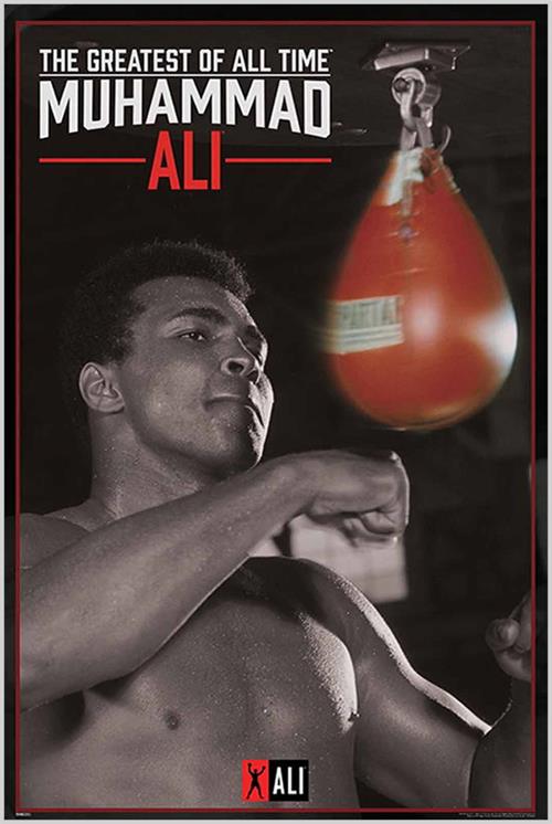 SPORTS RED-75 (11×17)