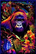 BLACKLIGHT BLK-64 (24×36)